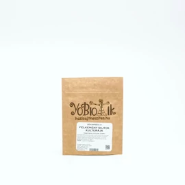 Félkemény sajtok kultúrája -YoBiotik - 20 db