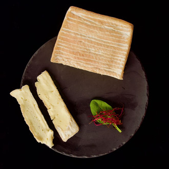 taleggio sajt