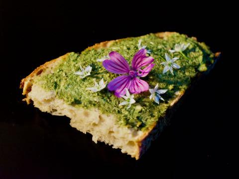 Gaz-pesto receptje