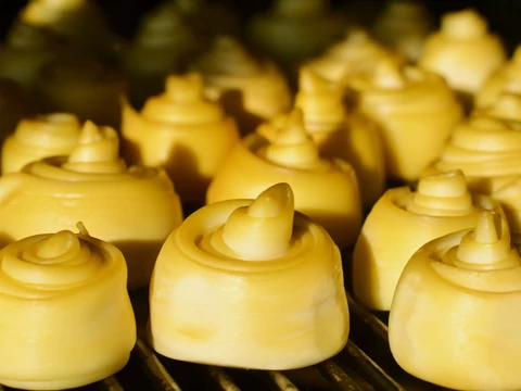 Parenyica sajt készítése YoBiotik kultúrával