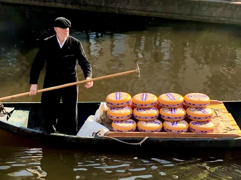 Gouda sajt receptje