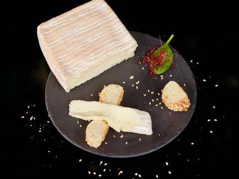 Taleggio sajt készítése