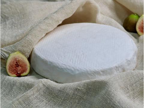 Brie sajt házilag