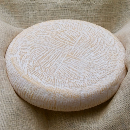 Caciotta sajtkészítő csomag