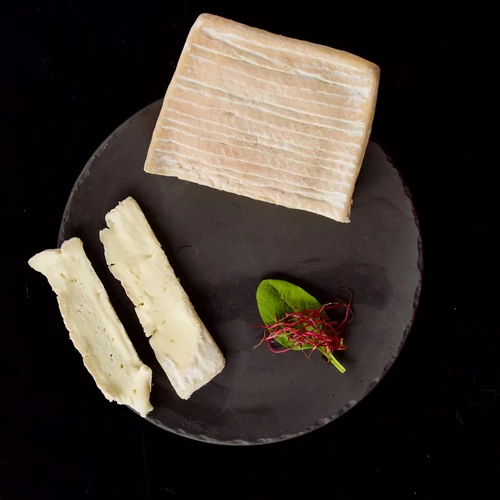 taleggio sajt
