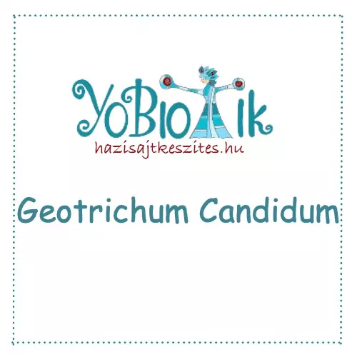 Geotrichum Candidum (1D/500 L)