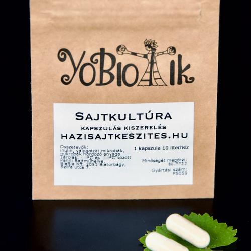 krémsajt kultúra