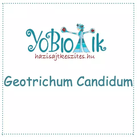 Geotrichum Candidum (1D/500 L)