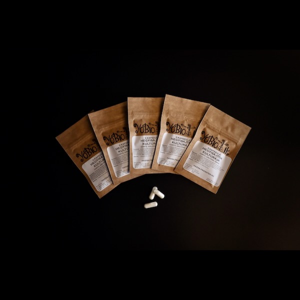 Hegyisajt kultúra - YoBiotik - 5 db