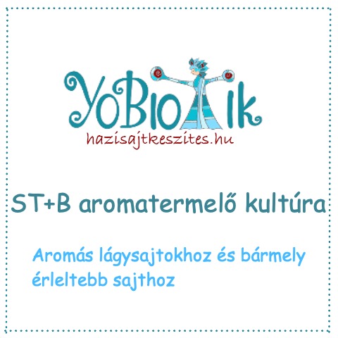 termofil baktériumok papilloma vírus elleni vakcina lányoknak