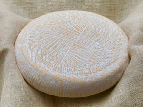 Caciotta - toszkán házi sajt