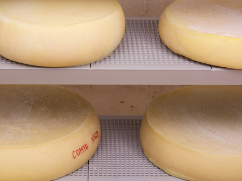 Hegyi sajt - Comte készítése