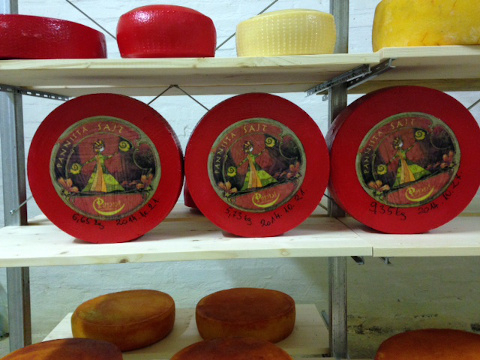Trappista sajt készítése házilag